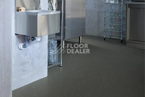 Линолеум FORBO SafeStep R11 174282 dragon фото 1 | FLOORDEALER